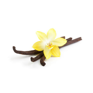 Babbi Vanilla Paste with seeds in a 300g jar.