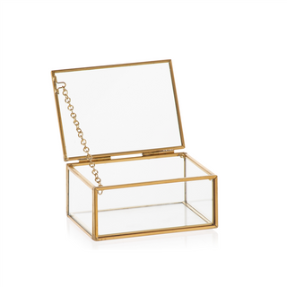 Ampolla Terrarium Rettangolare 15x10x7.5h  FR273/15