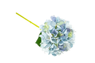 Baratti Ortensia Ramo Avion 1 pz