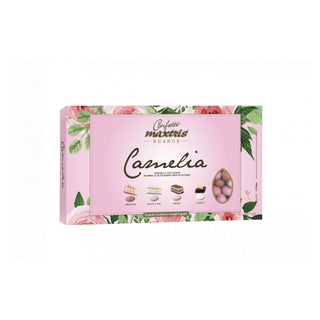 Maxtris Nuance Camelia