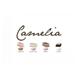 Maxtris Nuance Camelia