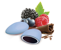 Papa - Double Chocolate e Fruit Frutti di Bosco Celeste Polvere - 500g