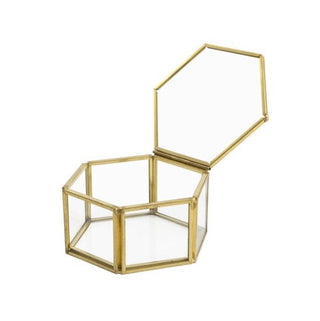 Small Hexagonal Terrarium Ampoule HF020-8