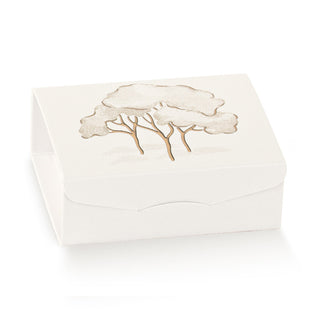 Scotton - Scatola Gift Intrecci Alberi Avorio 10pz - 8x8x3