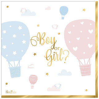 Tovaglioli Boy or Girl Gender Reveal - 16 pezzi