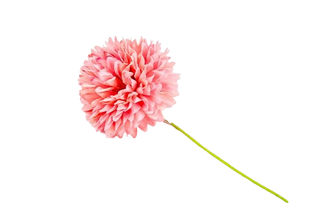 Baratti - Ortensia Sfera Media - 7cm 12pz (SCEGLI IL COLORE)