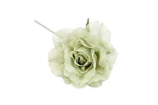Baratti - Rosa in Organza (SCEGLI IL COLORE)