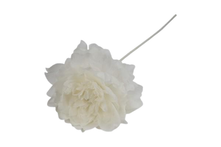 Baratti -  Fiore Organza Grande - 19cm