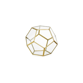 Ampolla Terrarium Penta Piccola 12.5x12