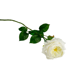 Baratti -  Fiore Rosa Bianca Grande da 60cm