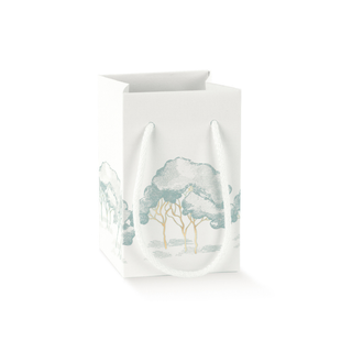 Scotton - Shopperbox Cordino con Intrecci Verde Alberi 10pz - 9x9x14