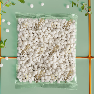 Leone - Sacchetto Pastiglie alla Menta - 500g