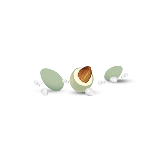 Confetti Papa - Ciocco Latte, Verde Salvia - 1kg