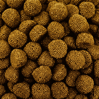 Caramelle Biribao - Caramelle Gommose More Oro Pralinata  - 1kg