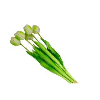 Baratti - Mazzetto 5 Tulipani Grandi - 35cm