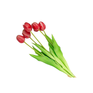 Baratti - Mazzetto 5 Tulipani Grandi - 35cm