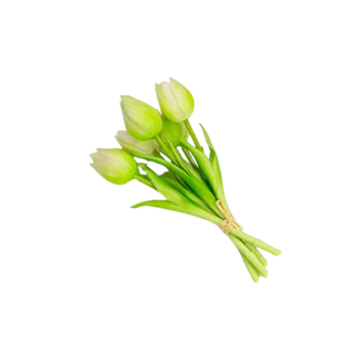 Baratti - Mazzetto 5 Tulipani Piccoli - 20cm