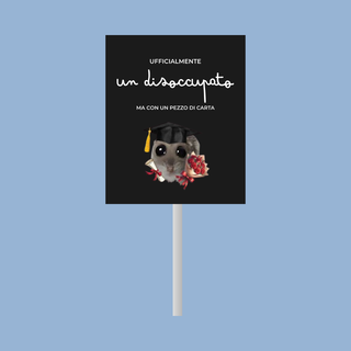 Lecca Lecca Meme Sticker Per la tua Laurea! 6,5g 7x6 (MINIMO 20PZ)
