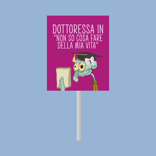 Lecca Lecca Meme Sticker Per la tua Laurea! 6,5g 7x6 (MINIMO 20PZ)