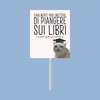 Lecca Lecca Meme Sticker Per la tua Laurea! 6,5g 7x6 (MINIMO 20PZ)