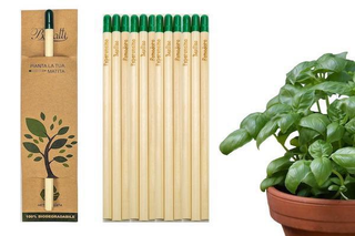 Germinating Pencils with Assorted Seeds