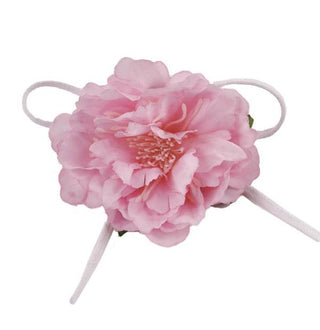 Dalia varie colorazioni 12 pz (SCEGLI IL COLORE)