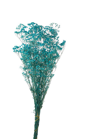 Gypsophila Nebbiolina Stabilizzata Celeste da 100g