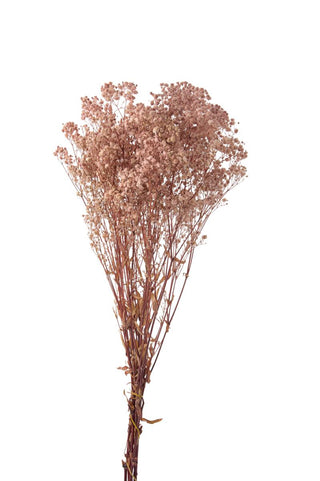 Gypsophila Nebbiolina Stabilizzata Rosa da 100g