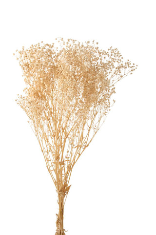 Gypsophila Nebbiolina Stabilizzata Bianca da 100g