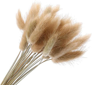 Pampas Code di Topo 50 pezzi.