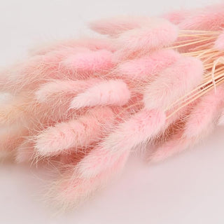 Pampas Code di Topo 50 pezzi.