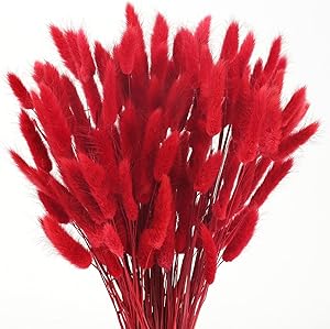 Pampas Code di Topo 50 pezzi.